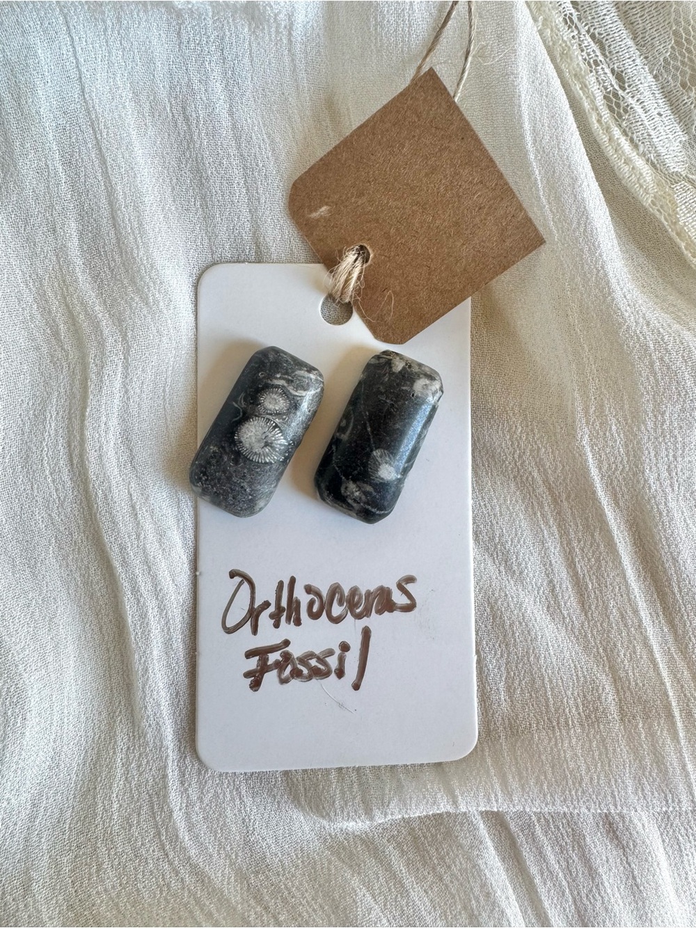 Orthoceras Fossil Black Rectangular Stud Statement Earrings